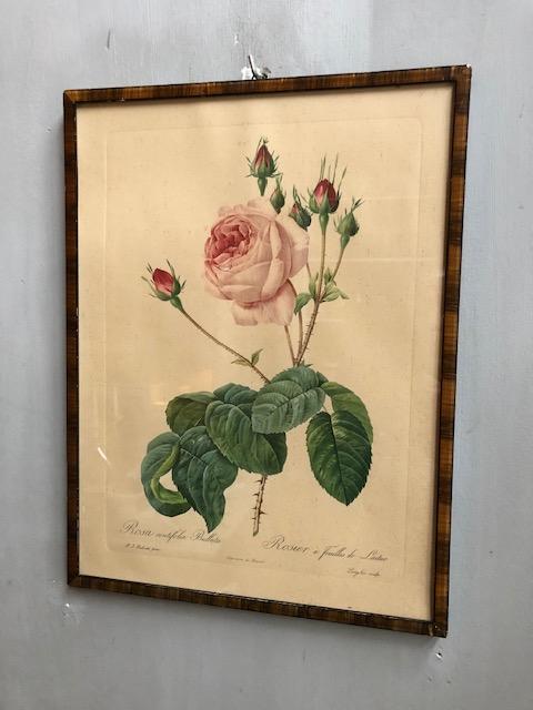 Vintage rozen schilderij