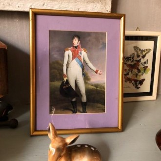Napoleon in vintage gouden foto lijst
